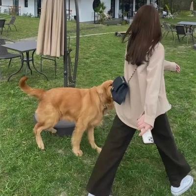 驯龙高手番外篇:龙的礼物